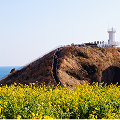 제주
